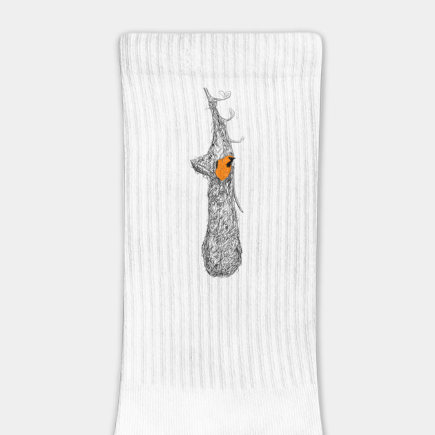 Oriole Nest by H. R. Sinclair