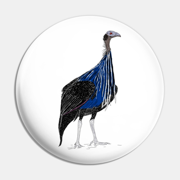VulturineGuineafowl Pin by H. R. Sinclair