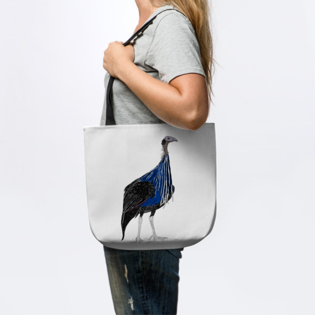 VulturineGuineafowl by H. R. Sinclair