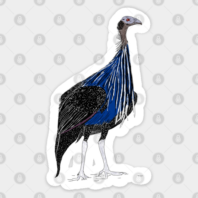 VulturineGuineafowl Sticker by H. R. Sinclair