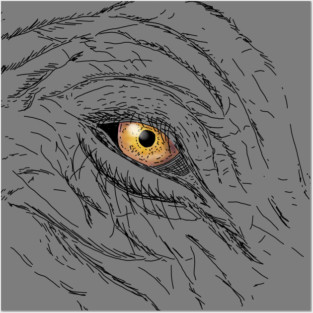 Elephant Eye Illustration Posters and Art