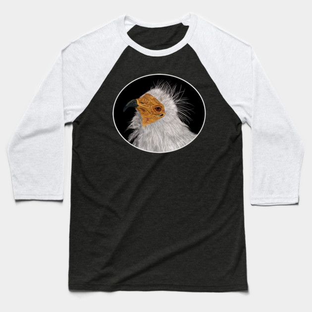 Illustrated Egyptian Vulture Baseball T-Shirt by H. R. Sinclair