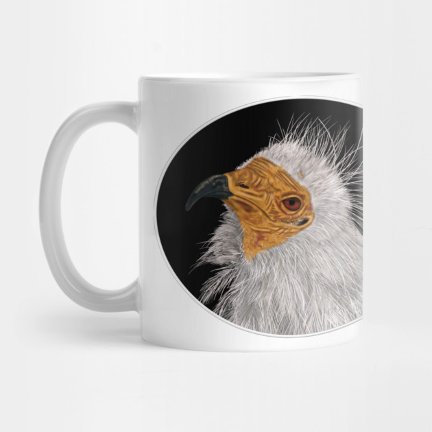 Illustrated Egyptian Vulture by H. R. Sinclair