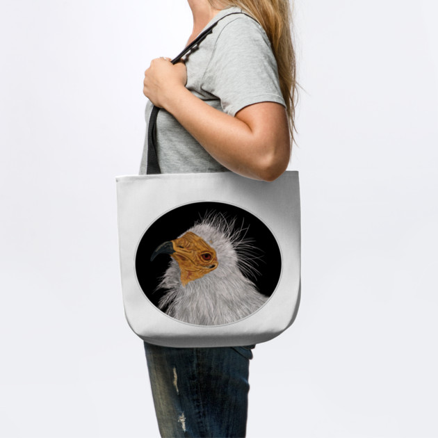 Illustrated Egyptian Vulture by H. R. Sinclair