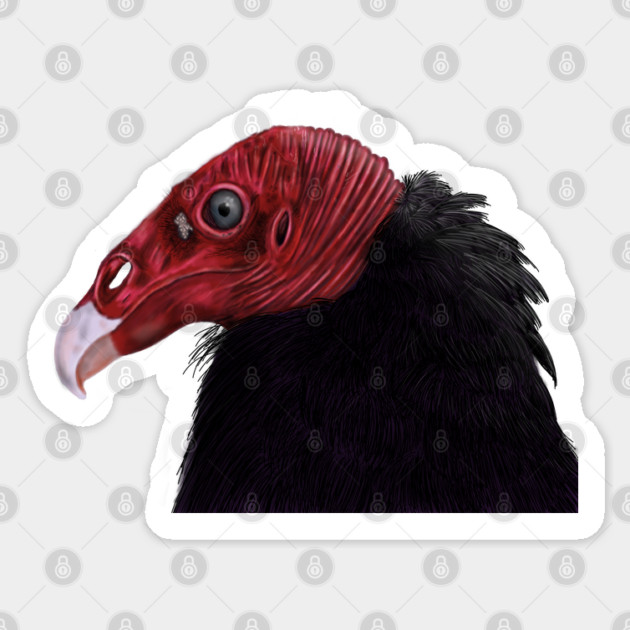 Illustrated Turkey Vulture Sticker by H. R. Sinclair