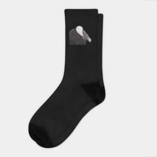 Illustrated Andean Condor Socks