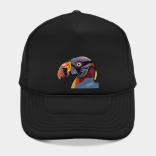 Illustrated King Vulture Hat