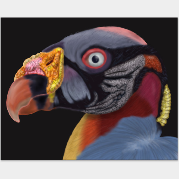 Illustrated King Vulture Wall Art by H. R. Sinclair