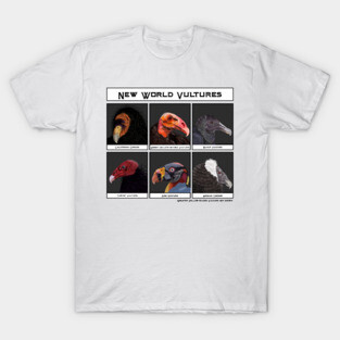 New World Vultures Illustration T-Shirt