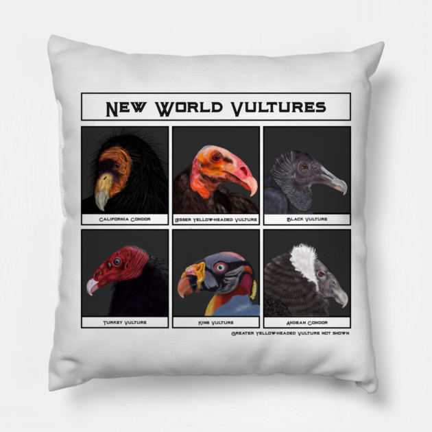 New World Vultures Illustration Pillow by H. R. Sinclair