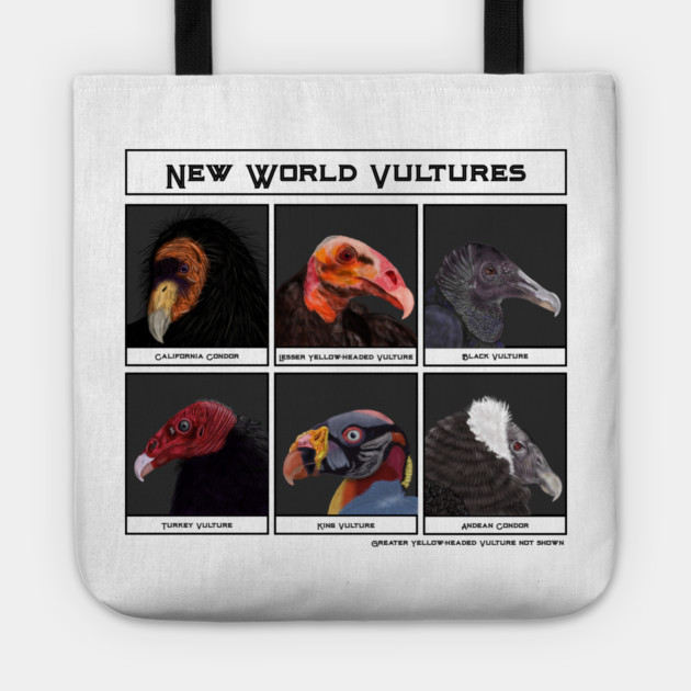 New World Vultures Illustration Tote by H. R. Sinclair