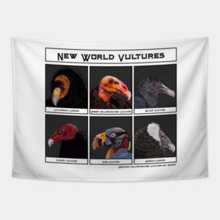 New World Vultures Illustration Tapestry