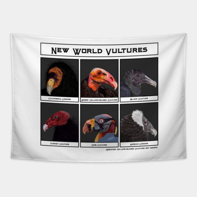 New World Vultures Illustration Tapestry by H. R. Sinclair