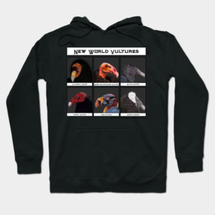 New World Vultures Illustration Hoodie