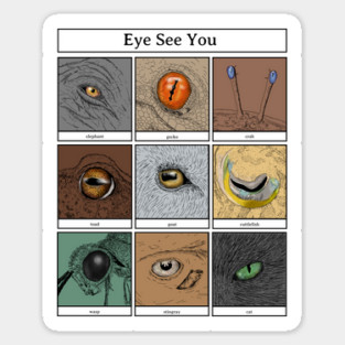 Eye See You Animal Pun, animal eyes Sticker