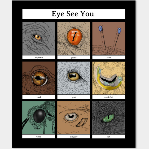 Eye See You Animal Pun, animal eyes Wall Art by H. R. Sinclair