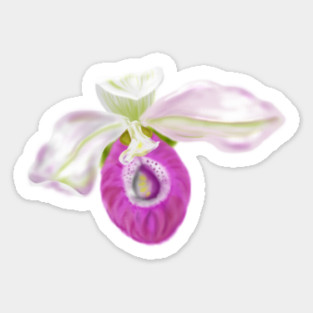 Lady Slipper Orchid Digital Art Sticker