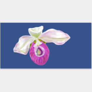 Lady Slipper Orchid Digital Art Posters and Art