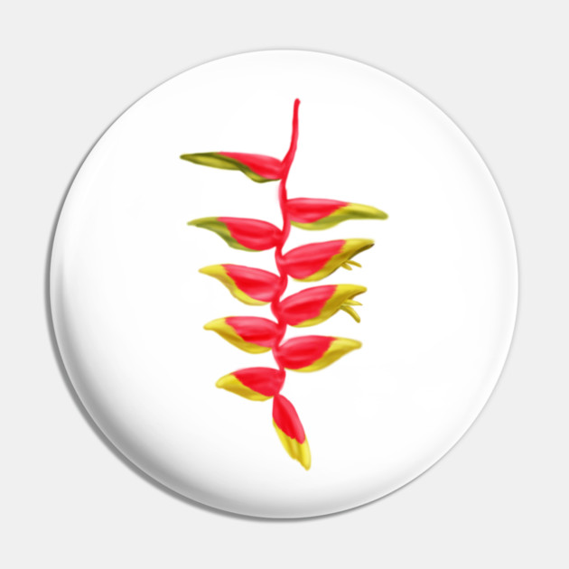 Red & Yellow Heliconia, Lobster-claws Digital Art Pin by H. R. Sinclair