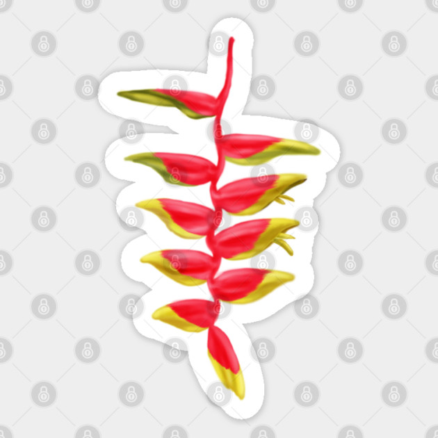 Red & Yellow Heliconia, Lobster-claws Digital Art Sticker by H. R. Sinclair