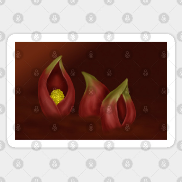 Stinky Swamp Cabbage Digital Art Sticker by H. R. Sinclair