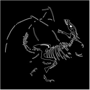 Dragon Fossils Posters and Art