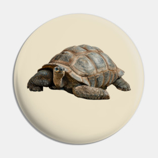 Giant Tortoise Pin