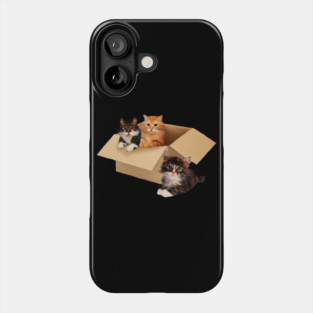 Cute Cats inside Box, Love cats Kittens Phone Case