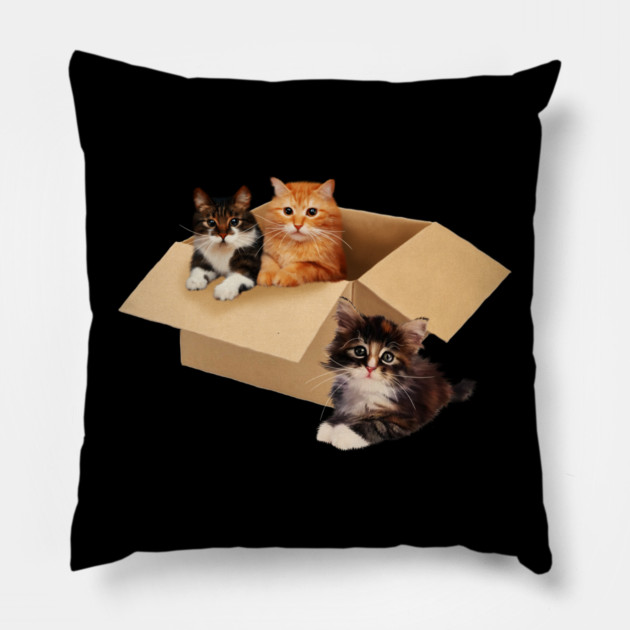 Cute Cats inside Box, Love cats Kittens Pillow by logiamerch