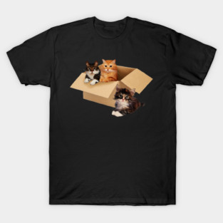 Cute Cats inside Box, Love cats Kittens T-Shirt