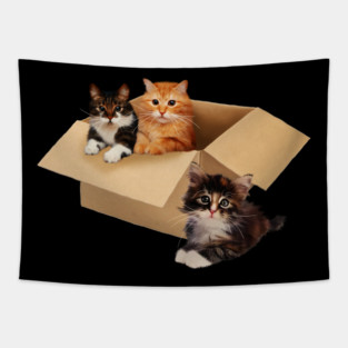 Cute Cats inside Box, Love cats Kittens Tapestry
