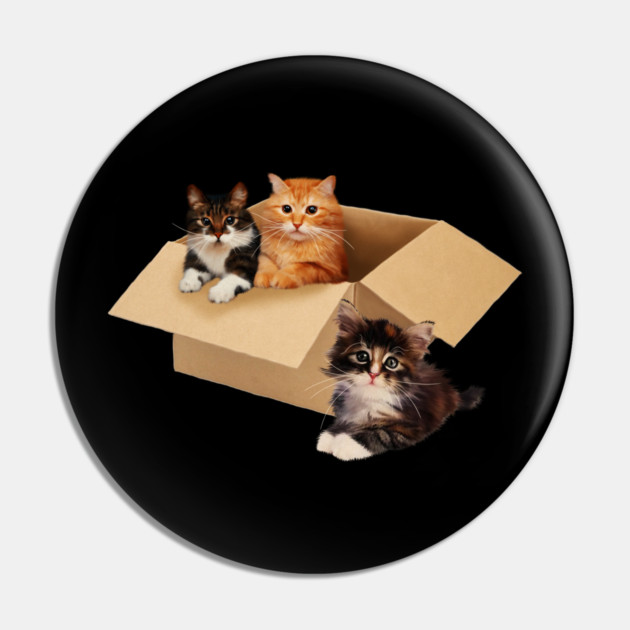 Cute Cats inside Box, Love cats Kittens Pin by logiamerch