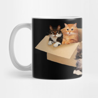 Cute Cats inside Box, Love cats Kittens Mug