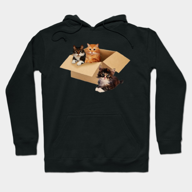 Cute Cats inside Box, Love cats Kittens Hoodie by logiamerch