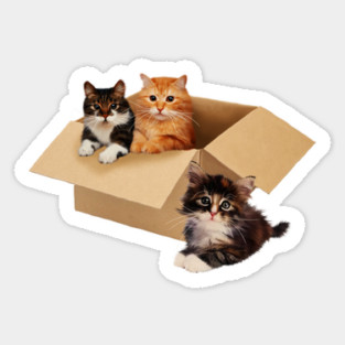 Cute Cats inside Box, Love cats Kittens Sticker
