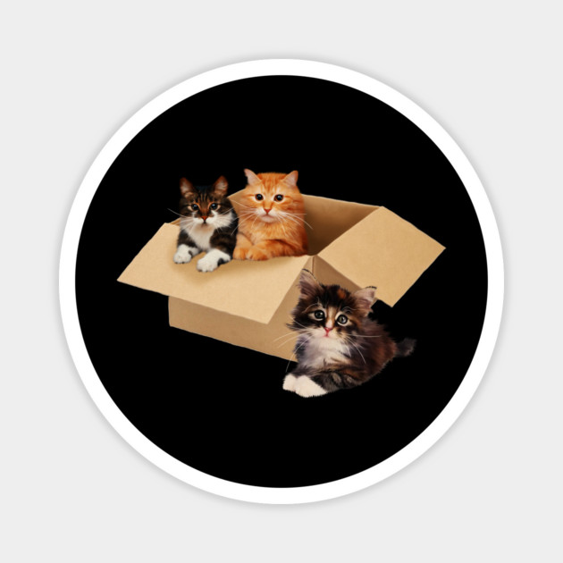 Cute Cats inside Box, Love cats Kittens Magnet by logiamerch