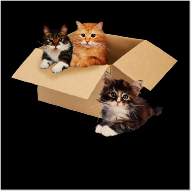 Cute Cats inside Box, Love cats Kittens Wall Art by logiamerch