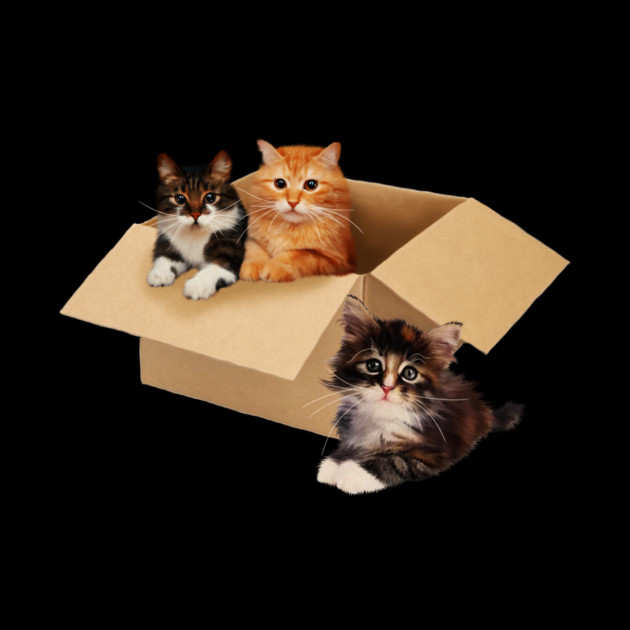 Cute Cats inside Box, Love cats Kittens by logiamerch