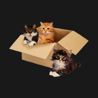 Cute Cats inside Box, Love cats Kittens T-Shirt