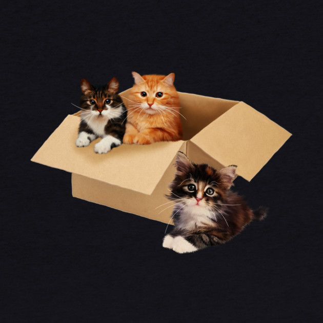 Cute Cats inside Box, Love cats Kittens by logiamerch