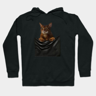 Abyssinian cat, Cat insde pocket, Cat Lover Hoodie