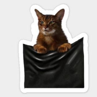 Abyssinian cat, Cat insde pocket, Cat Lover Sticker