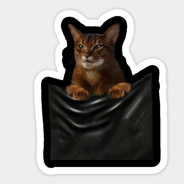 Abyssinian cat, Cat insde pocket, Cat Lover Magnet by logiamerch