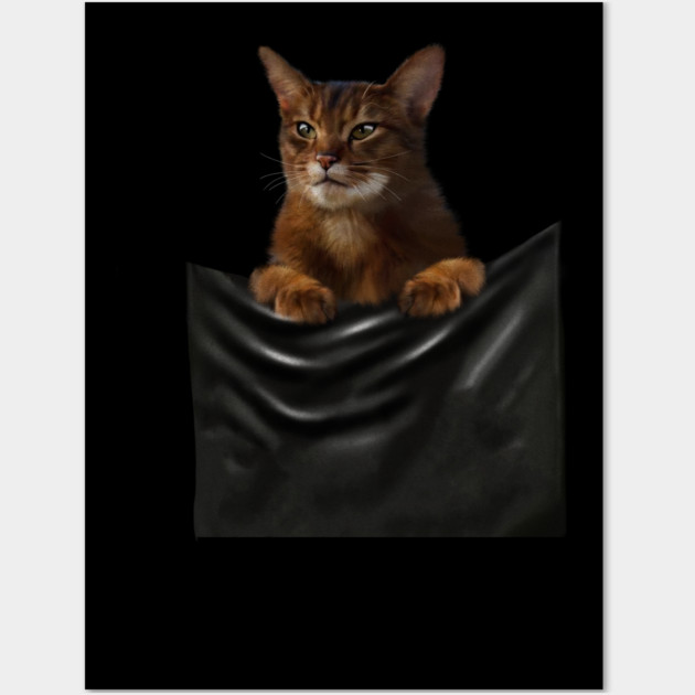 Abyssinian cat, Cat insde pocket, Cat Lover Wall Art by logiamerch
