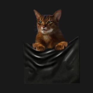 Abyssinian cat, Cat insde pocket, Cat Lover T-Shirt