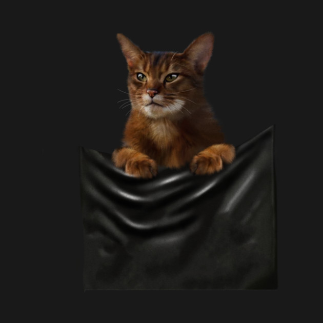 Abyssinian cat, Cat insde pocket, Cat Lover by logiamerch