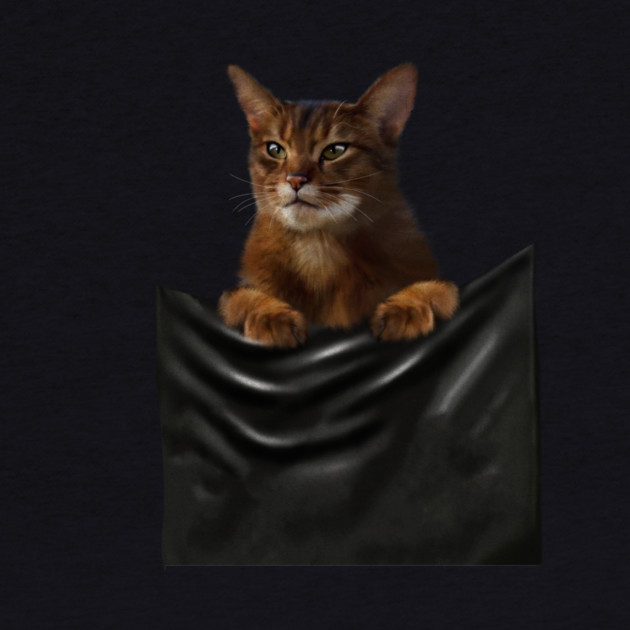 Abyssinian cat, Cat insde pocket, Cat Lover by logiamerch