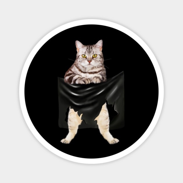 American Shorthair Cat, Love Shorthair Magnet by logiamerch