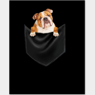 American Bulldog inside Pocket, Dog Lover Posters and Art