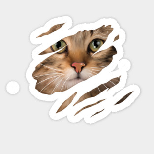 Cat tearing through, Love Cats Sticker